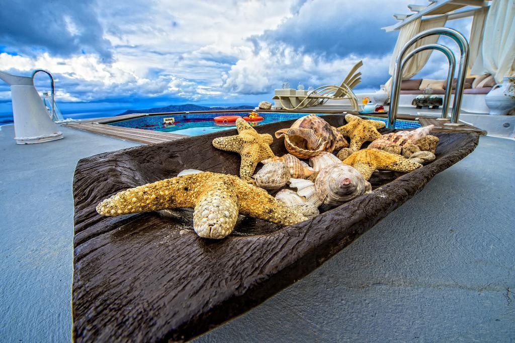 Thea Imerovigli (Santorini)